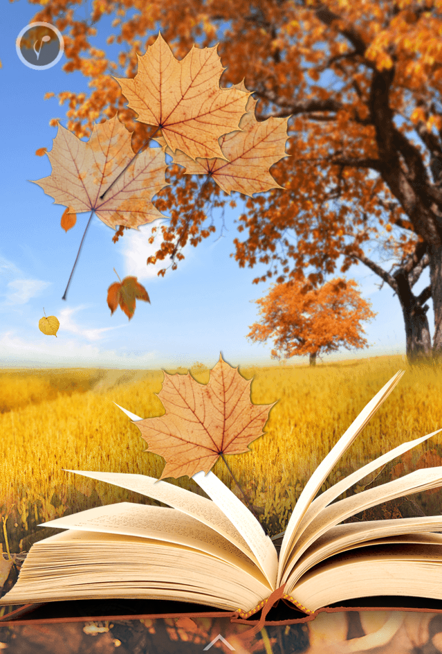 生如夏花 逝如秋叶——生命因你而安详 生如夏花 逝如秋叶——生命因你而安详