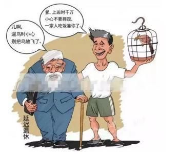 自费交社保,社保费用每年都在增长,这样还划算