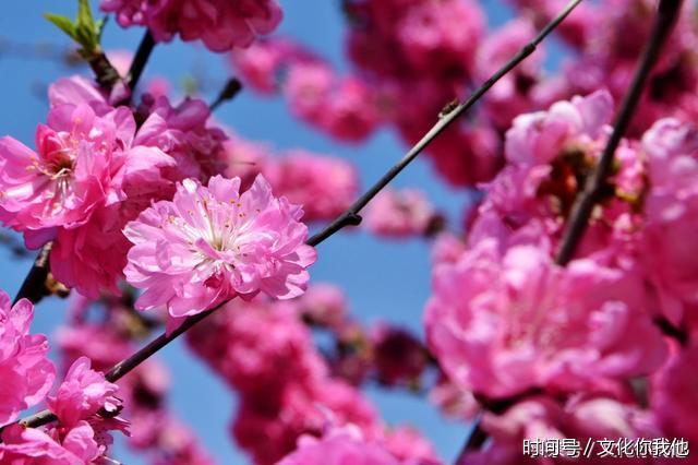 感谢您对我的关怀,让我这个远离家乡的游子找