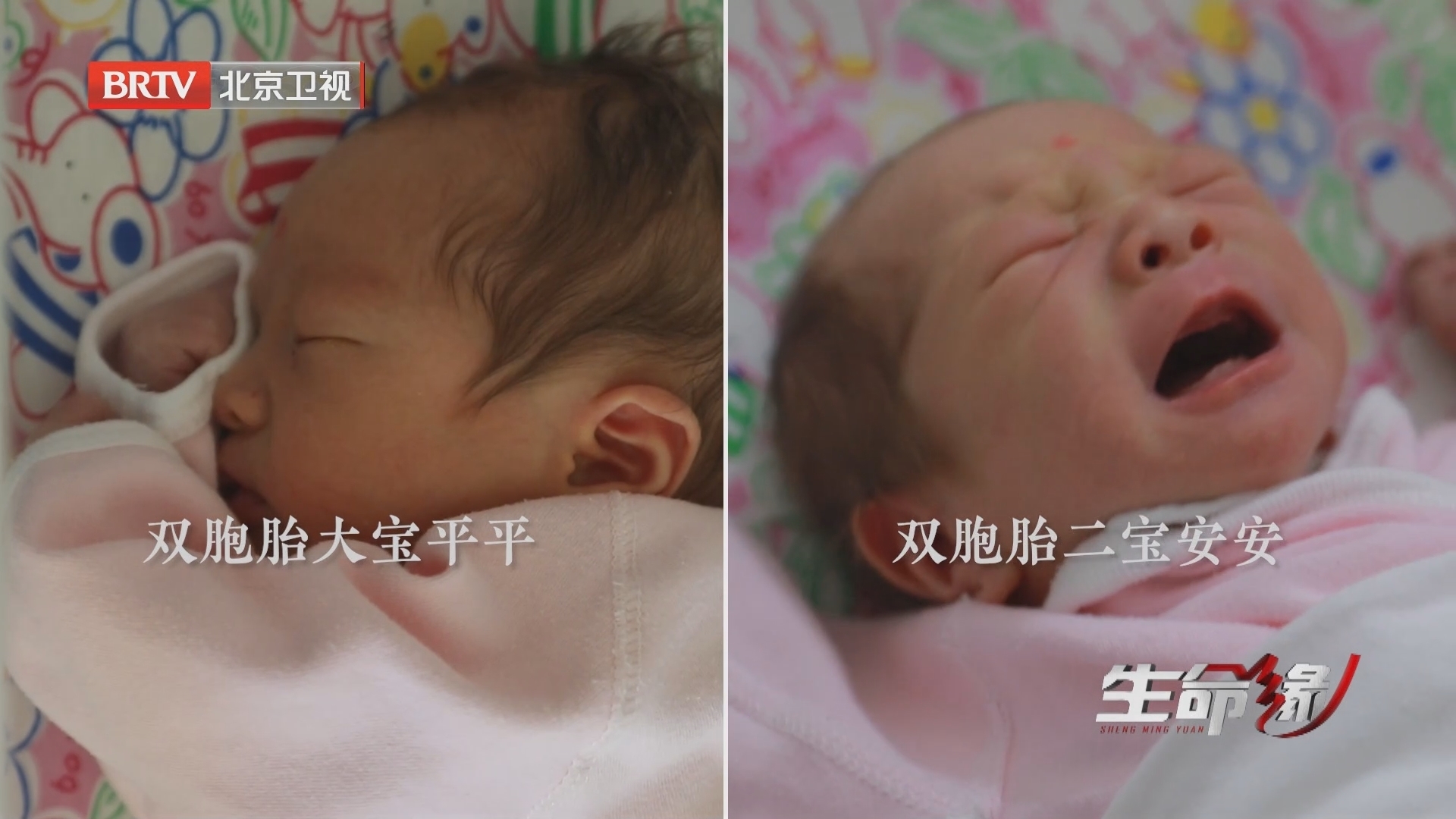 《生命缘》20240326奇妙的“旦”生