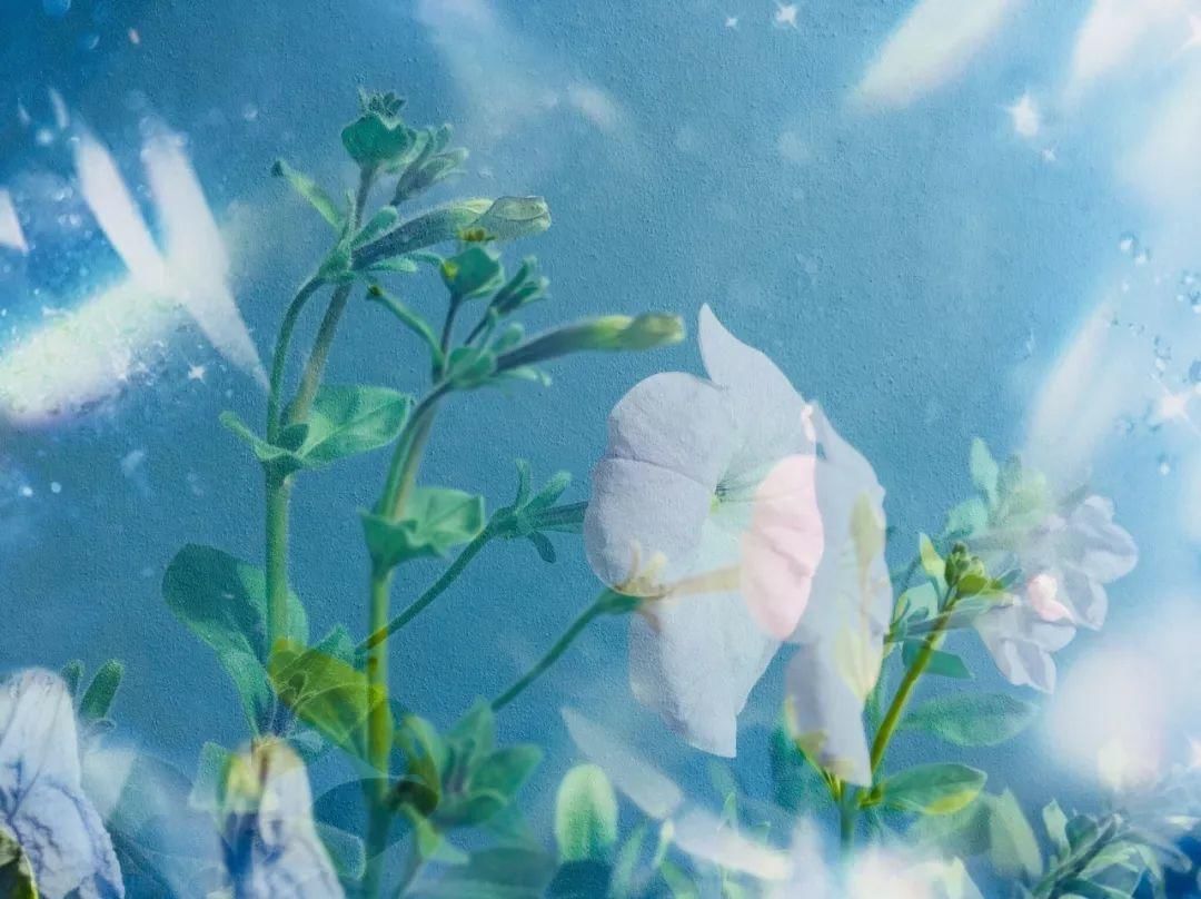 企业收到的政府补助如何进行会计处理?