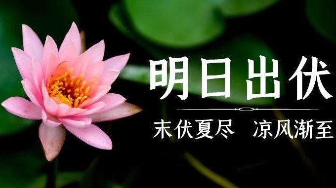 秋天的第一顿火锅,必须吃冬瓜盅,和末伏好好告个别吧 秋天的第一顿火锅,必须吃冬瓜盅,和末伏好好告个别吧