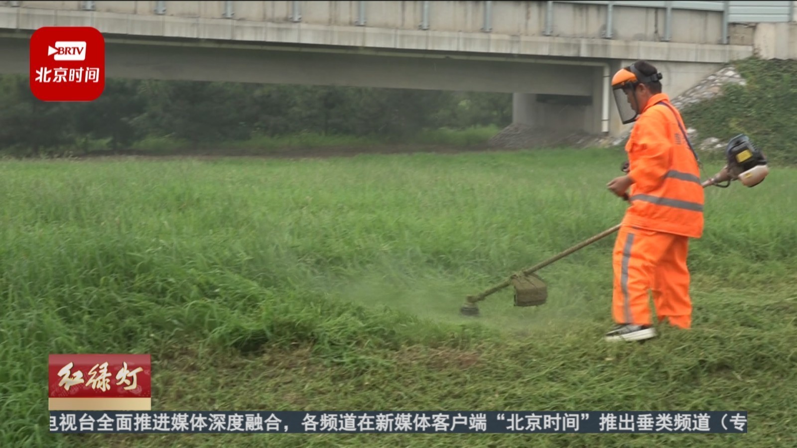 养护部门启动灾后高速公路绿化损毁修复工作