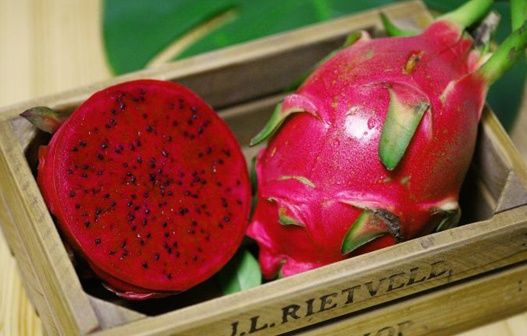 火龙果什么时候成熟 火龙果的产地在哪里,火龙