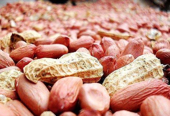 常用此物泡水喝,每天一杯,健脾胃,降血压,气色更