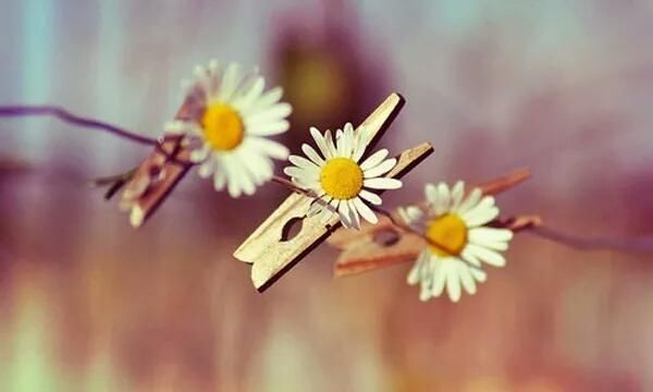 活鱼逆流而上,死鱼随波逐流