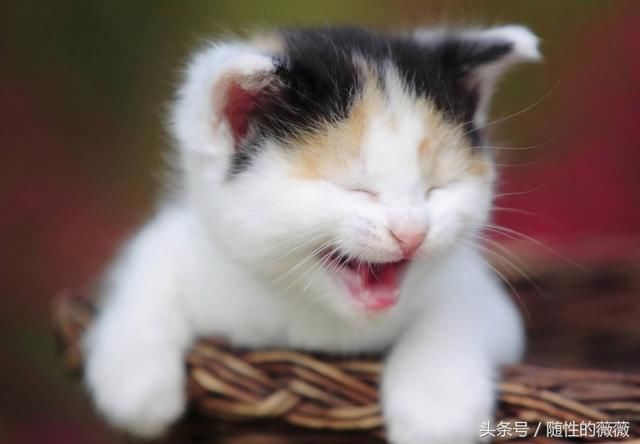 不需要去健身房,也没时间运动,怎么利用生活与