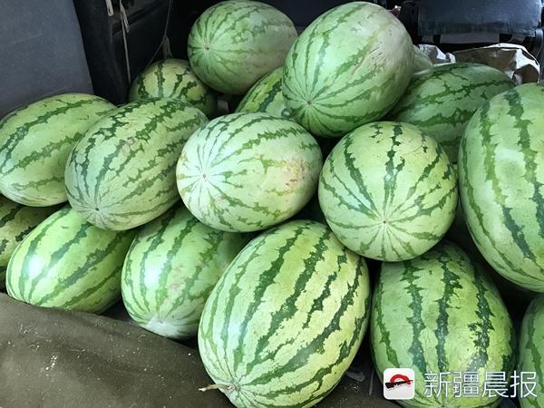 今年新疆的西瓜多是“大甜帅”，你知道这是啥原因吗？
