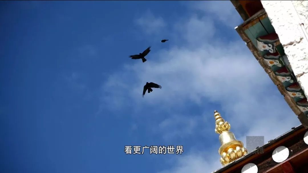 藏地之光 | 中国最好的酒店：让每一次远行，都是回家。