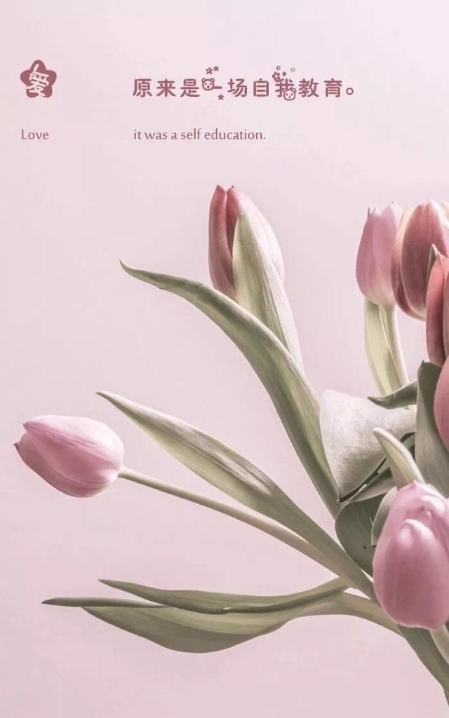 让人心疼的话,痛到要哭的句子