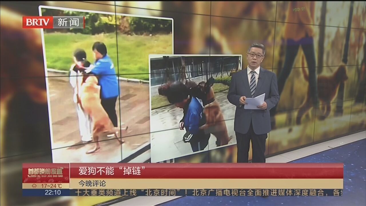 爱狗不能“掉链”