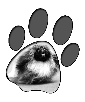 京巴犬又称北京犬,最早的记载是从8世纪的唐代开始的.