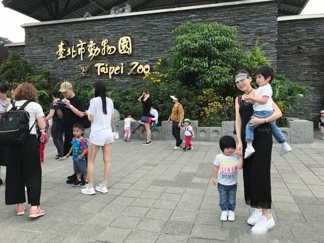 林志颖真是娶到好娇妻,陈若仪照顾双胞胎儿子