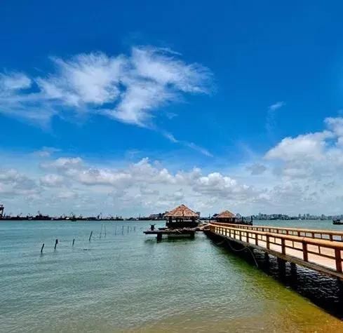 中国最后一条的黄金海岸线总长达1450公里(内