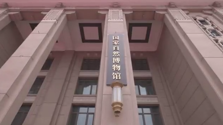 《来吧！看我中华文明》丨 一株改变世界的小草