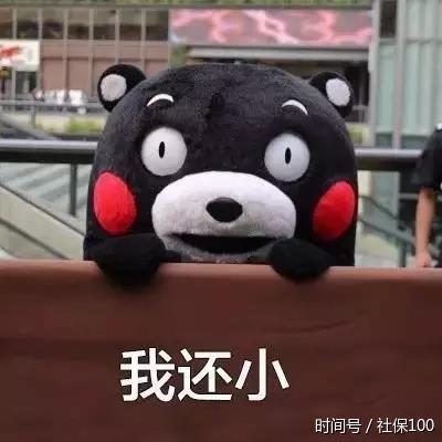 生育保险连续缴纳一年以上才能报销?