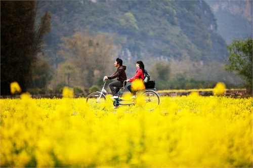 清明节有哪些传统习俗 清明节传统习俗盘点