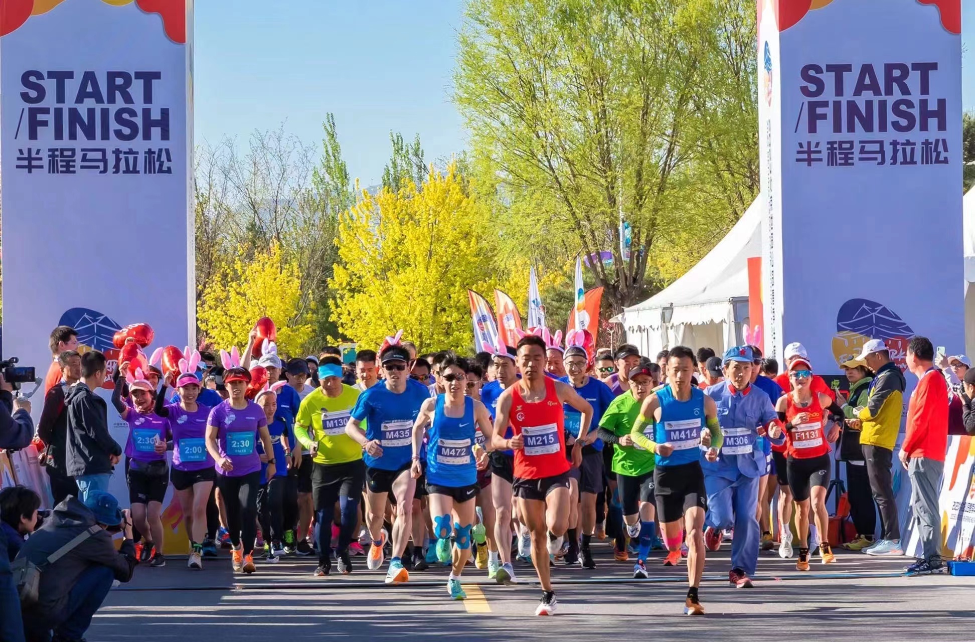 穿行花海的马拉松!世园半程马拉松今日开跑 穿行花海的马拉松!世园半程马拉松今日开跑