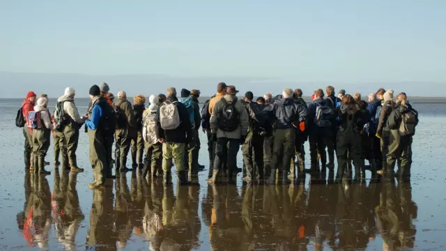 中国记者体验丹麦生蚝泛滥区 原来只是 中国记者体验丹麦生蚝泛滥区 原来只是