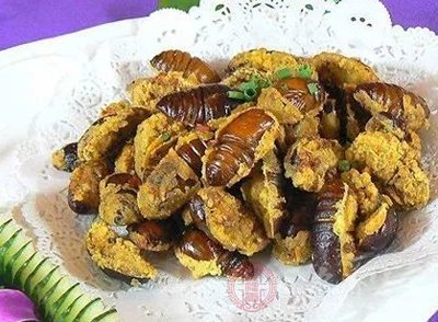 蚕蛹究竟能不能吃 为什么有些人吃蝉蛹会中毒