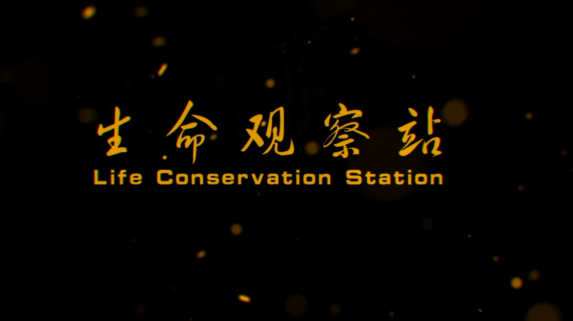 2017金秋剧目展演——话剧《生命观察站》 2017金秋剧目展演——话剧《生命观察站》