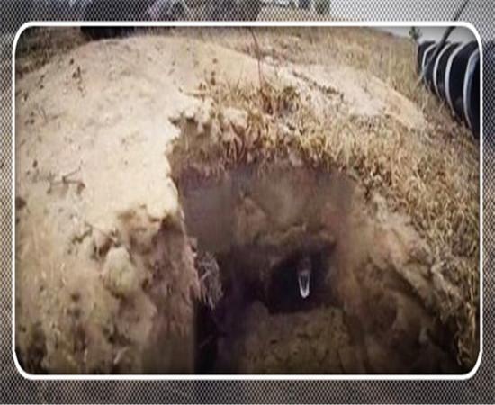 男子野外抓地鼠的时候, 发现一个奇怪的小洞口