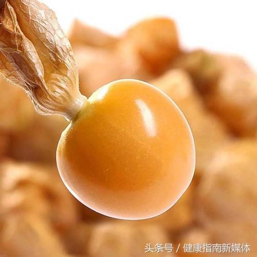 中国特有的菇娘果怎么就变成了哥伦比亚龙珠果