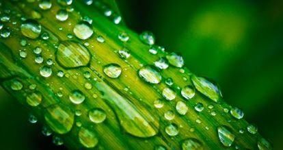 高考失利:复读一年还是以后考研?靠这三点才能