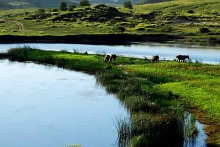 非常经典的句子,任何人给的安全感,都比不上自