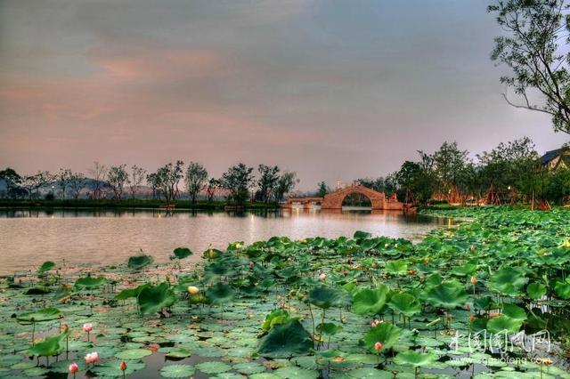 贺"湘湖十景"评选会议召开大美湘湖诗词专辑