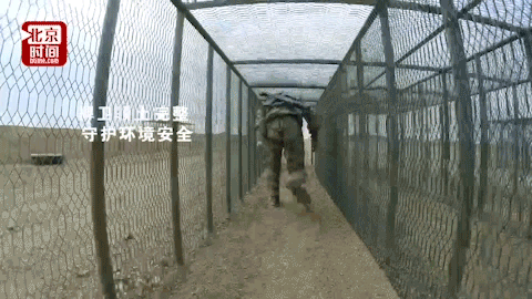 中国陆军承办国际军事比赛2017:安全环境单组赛 中国陆军承办国际军事比赛2017:安全环境单组赛