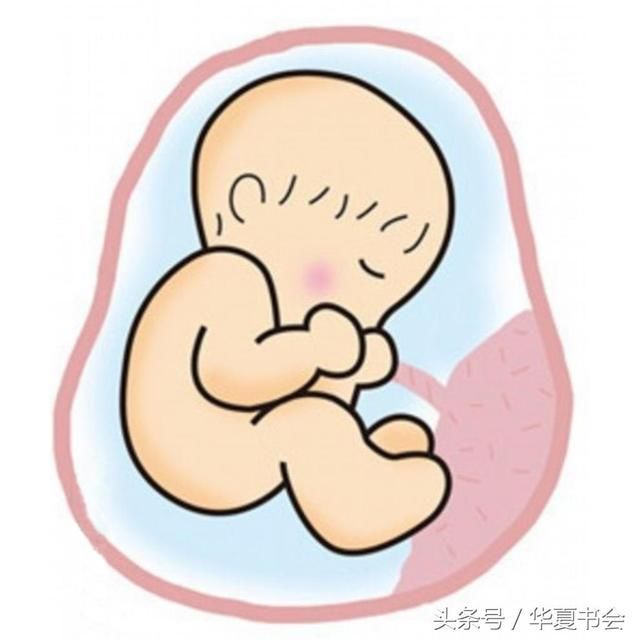 怀孕期间怀男孩女孩胎动有什么不同?老人说胎