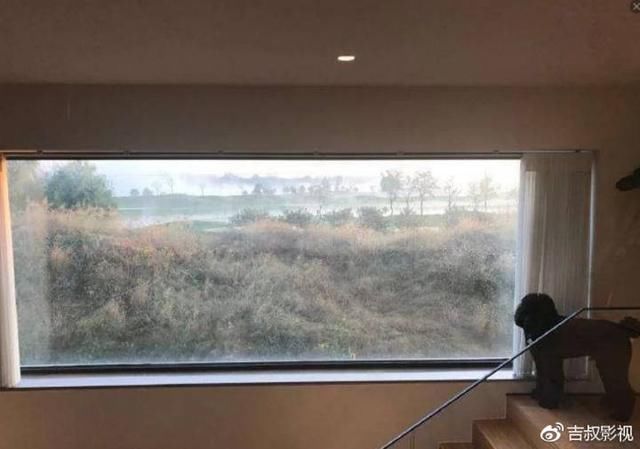 华谊兄弟王中军王中磊为何质押全部身家,真相