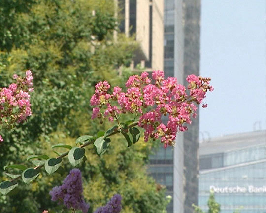 《健康北京》秋天到 防过敏