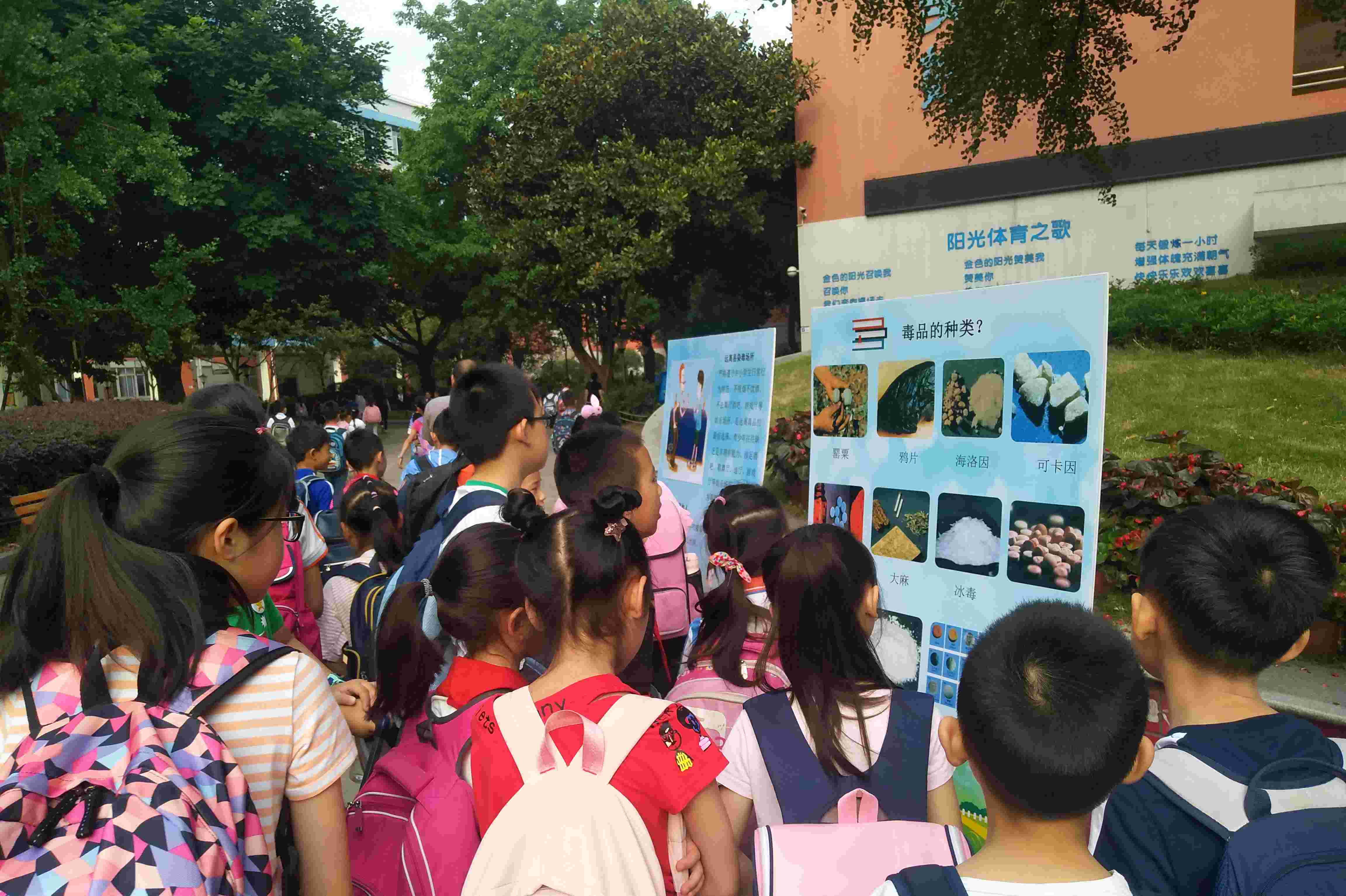 青羊区大力巩固“2019年全民禁毒集中宣传月”活动成果(图1)