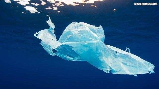 由于塑料袋一类外形长得像海母,许多海洋生物会误食塑料袋.