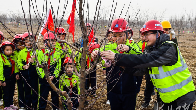 河北雄安：“千年秀林”添新绿