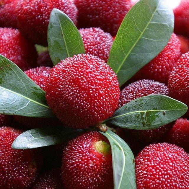 广东也有贫困县,三农合伙人,你们不要把我们忘