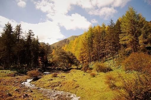 生第三次世界大战么?第三次世界大战参战国会