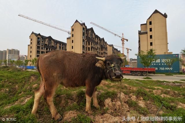 哪些农村宅基地不能确权?