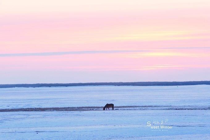 零下40度的中国冷极,颠覆了我对冬季孤寂与荒