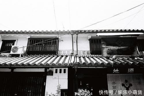 这个生肖生的孩子,老大有才,老二出息,注定母凭