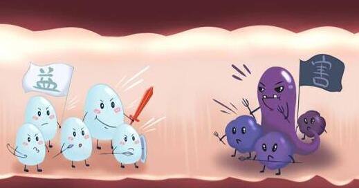 14岁以下孩子在幽门螺杆菌阳性感染怎么办?不