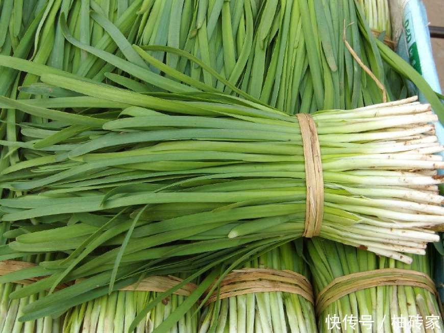 韭菜割了可以再长,农村一种树,割了也能再次生