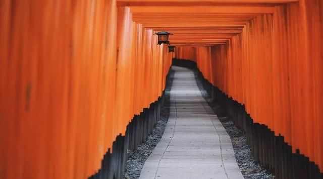 日本6天5晚自由行攻略,从东京到大阪,玩转京都