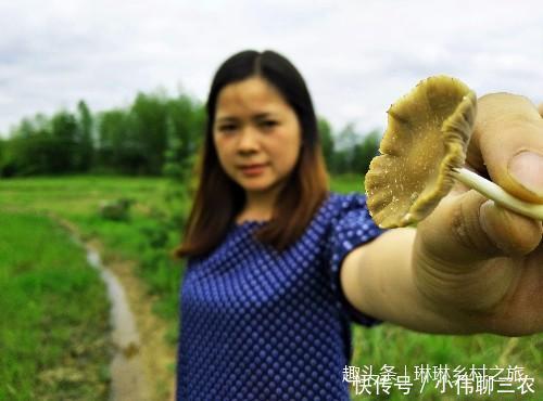 农村一长满 肿瘤野草,是男人强腰益肾好食材