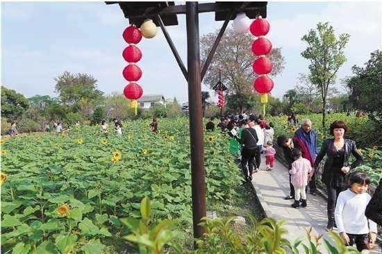 2018农村创业做什么好?推荐六个实用又致富的