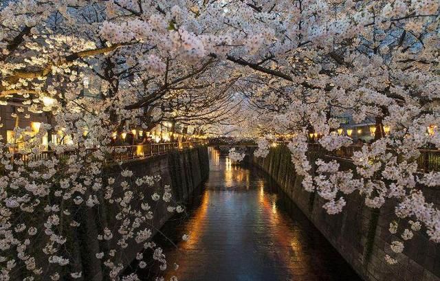 日本首都东京相当于中国哪座城市的发展水平