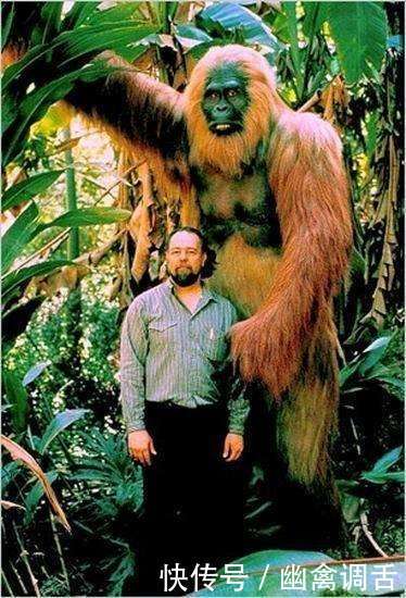 7大怪异动物祖先盘点 历经数千年的变化