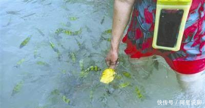 中国女生因吃相难看遭日本店员驱赶 真相没这